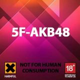 5F-AKB48 5F-AKB48